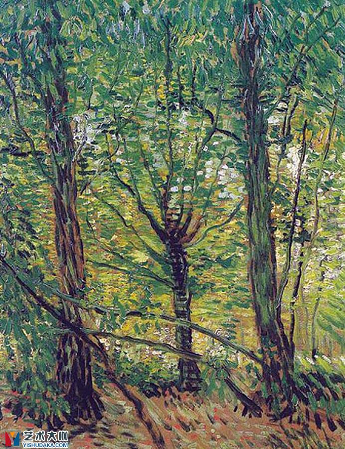 Trees and Underwood-oil painting